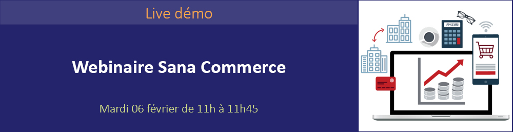 Développez votre chiffre d'affaires grâce à un site e-commerce B2B