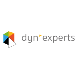 DYN' EXPERTS
