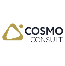 COSMO CONSULT